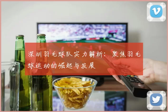 深圳羽毛球队实力解析：聚焦羽毛球运动的崛起与发展