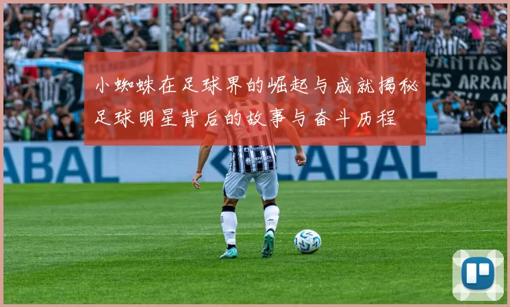 小蜘蛛在足球界的崛起与成就揭秘足球明星背后的故事与奋斗历程