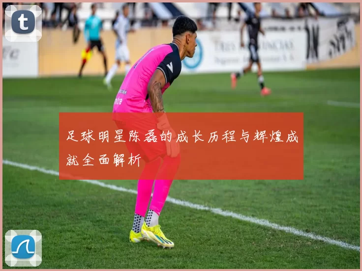 足球明星陈磊的成长历程与辉煌成就全面解析